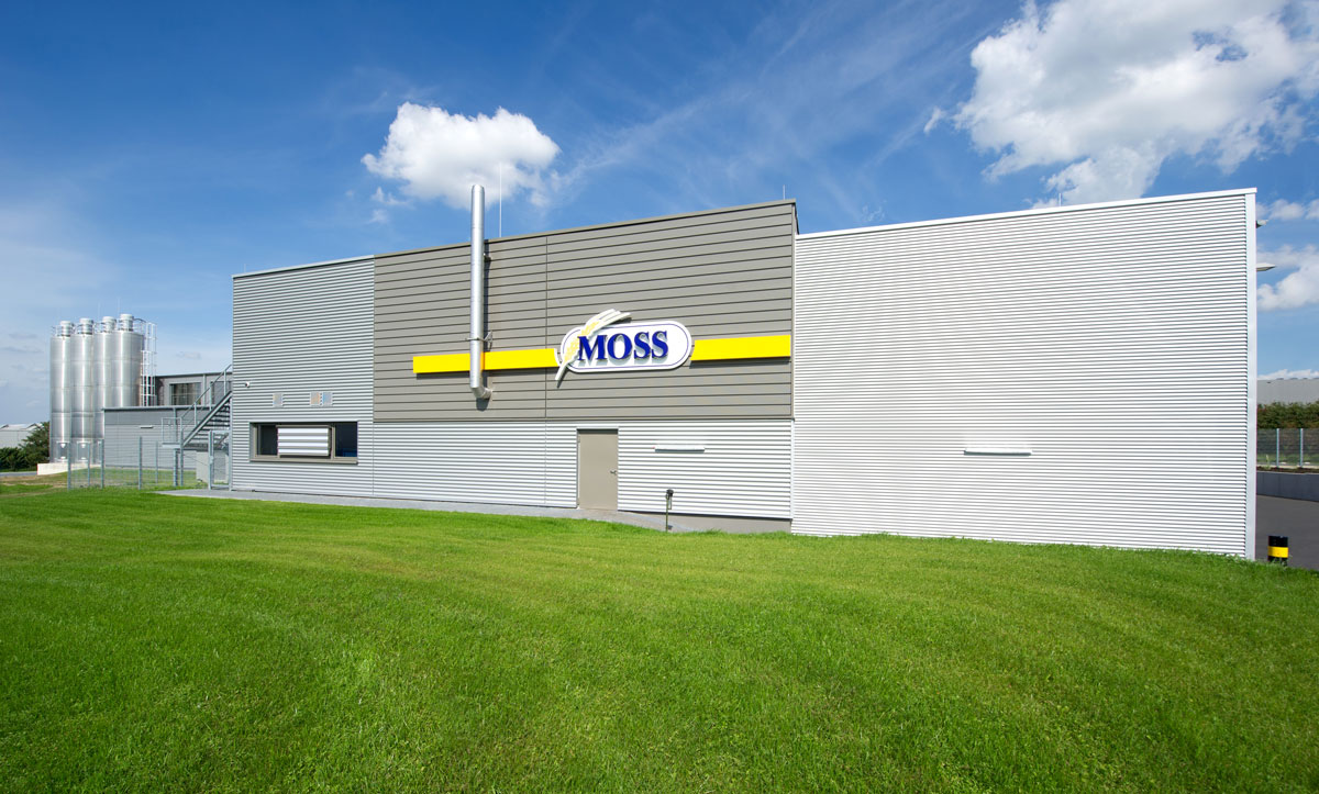 aachen_moss
